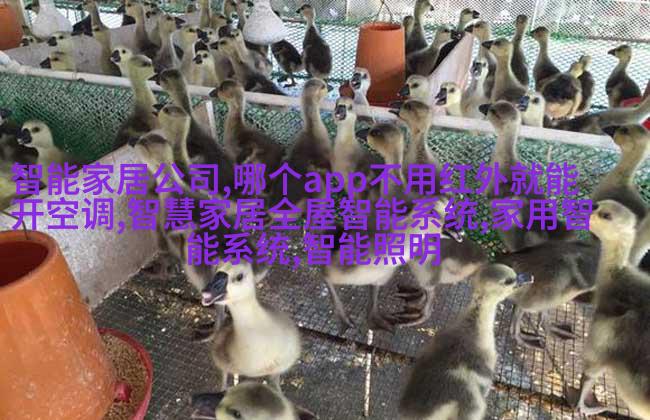 客厅简约装修效果图