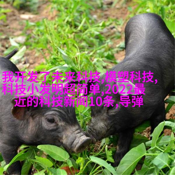 运动休闲氛围
