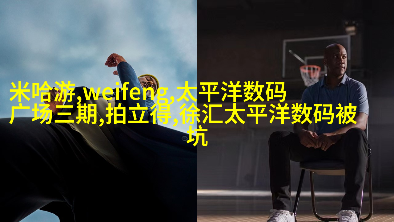 案例图