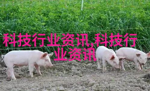 图2: 油氣分離器示意圖